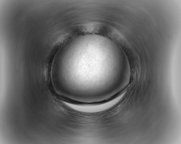 X0000086940416200704301141