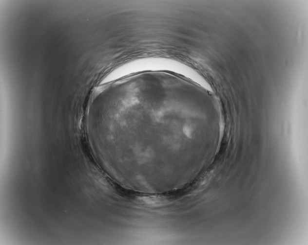 X0000086940417200704301141