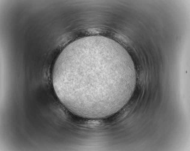 X0000086940418200704301141