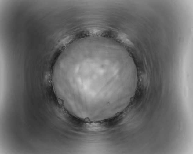 X0000086940419200704301141