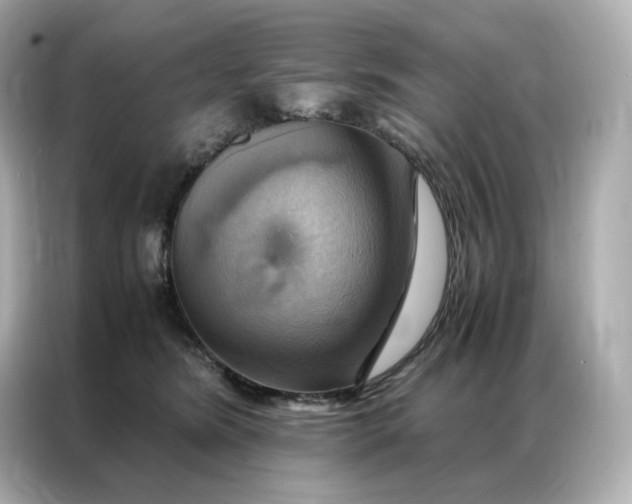 X0000086940420200704301141