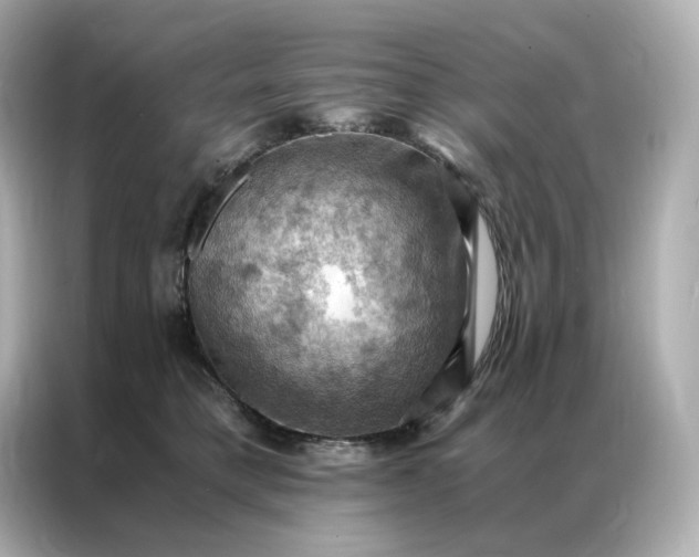 X0000086940421200704301141