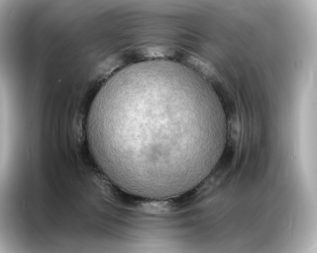 X0000086940422200704301141