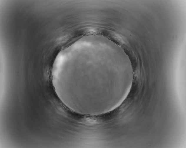 X0000086940423200704301141