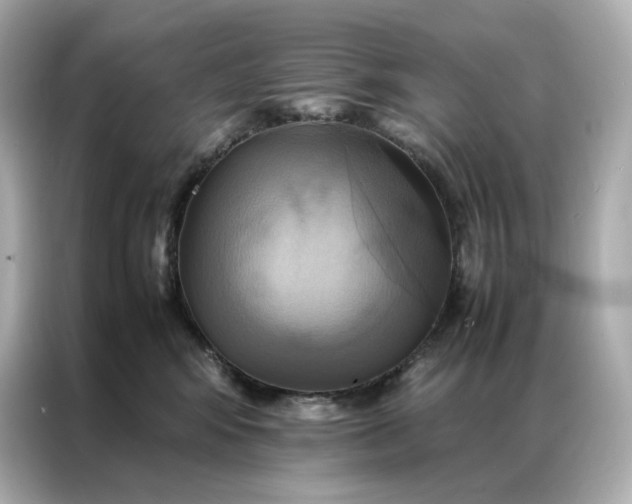 X0000086940424200704301141