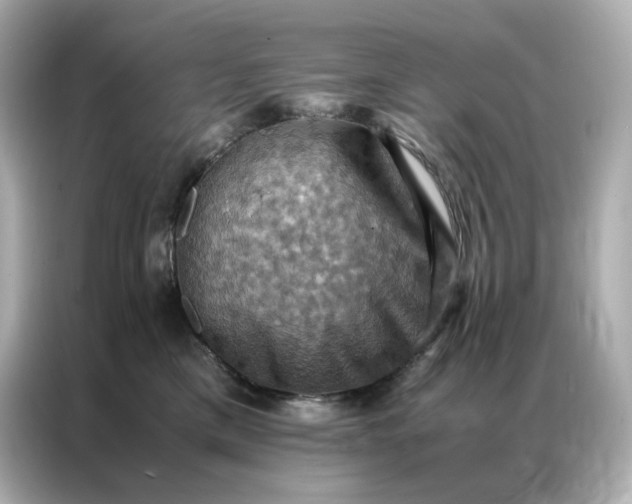 X0000086940425200704301141