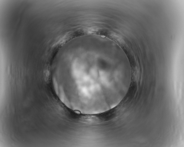 X0000086940427200704301141