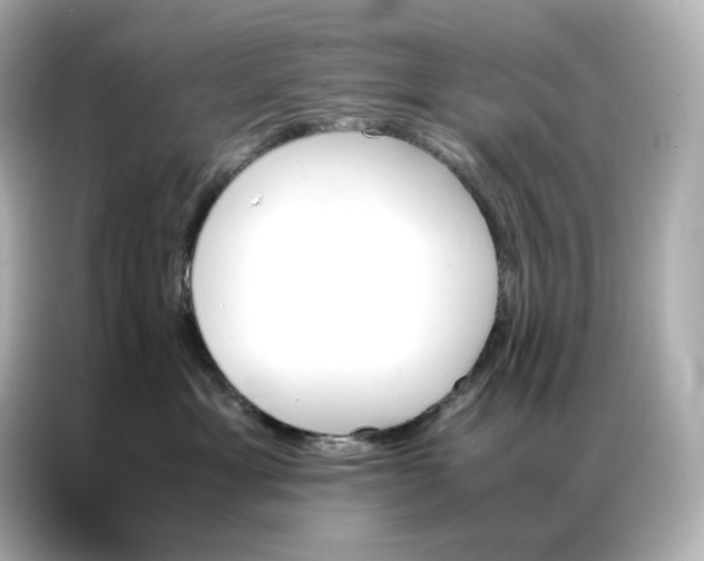 X0000086940429200704301141