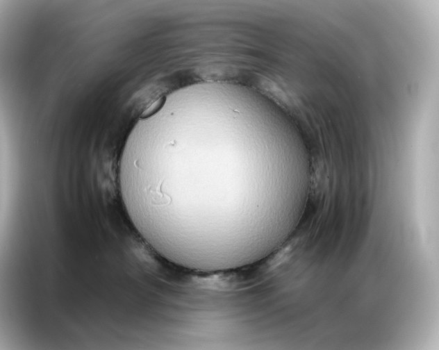 X0000086940430200704301141