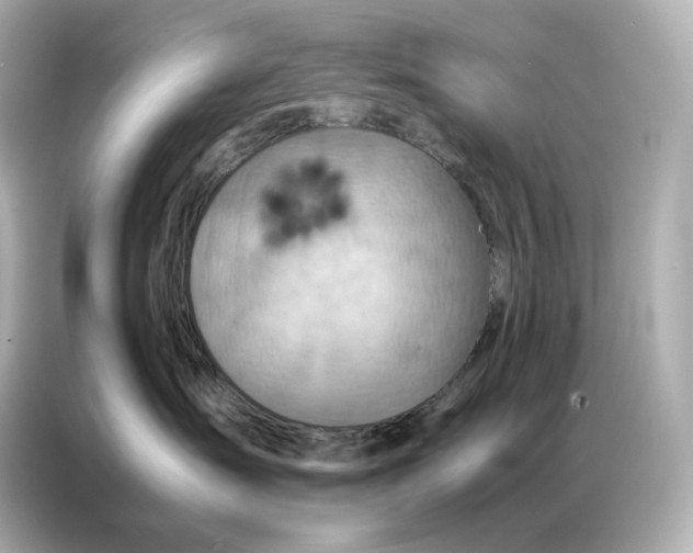 X0000086940431200704301141