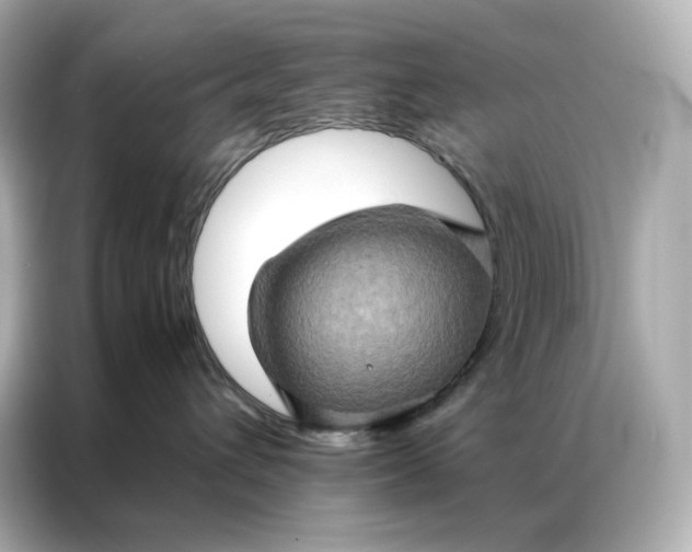 X0000086940432200704301141