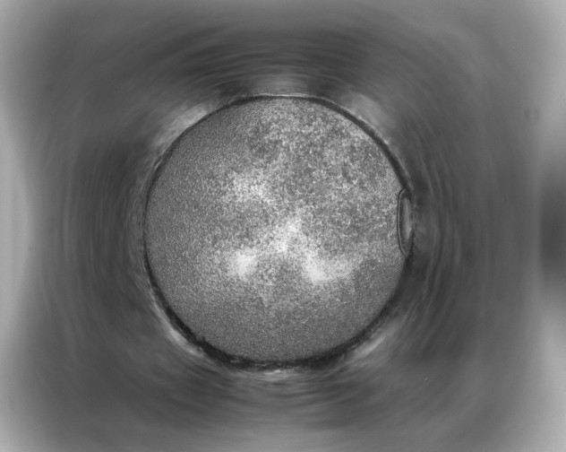 X0000086940433200704301140