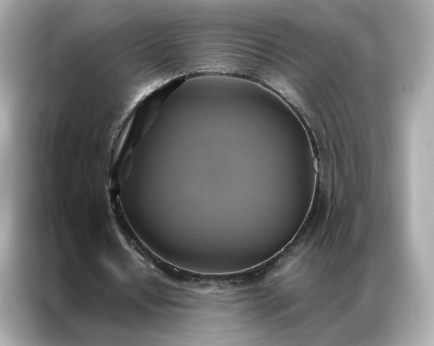 X0000086940434200704301140