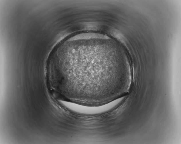 X0000086940435200704301140