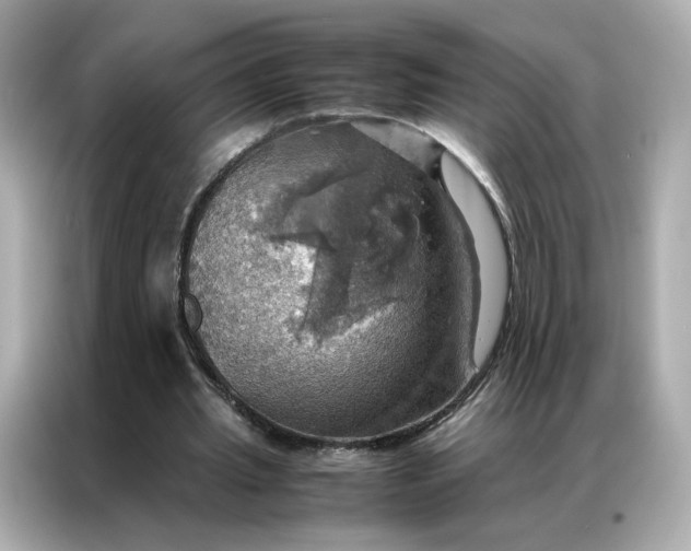 X0000086940437200704301140