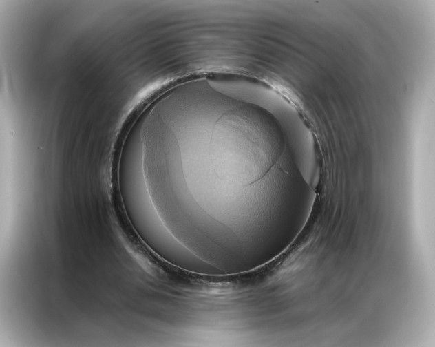 X0000086940438200704301140