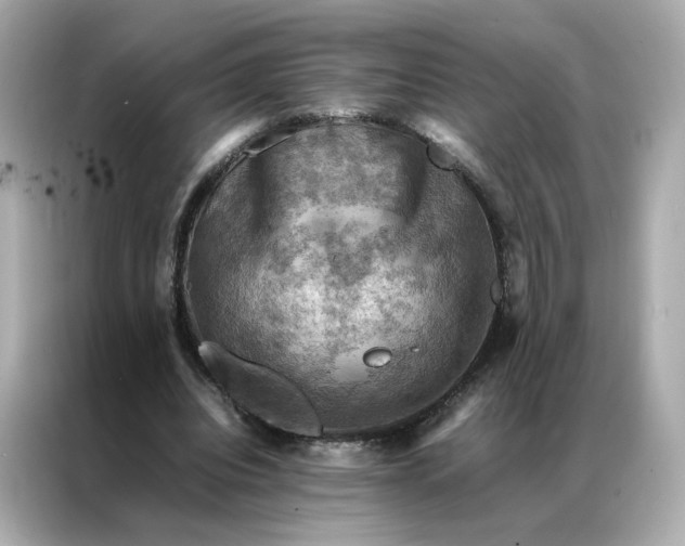 X0000086940440200704301140