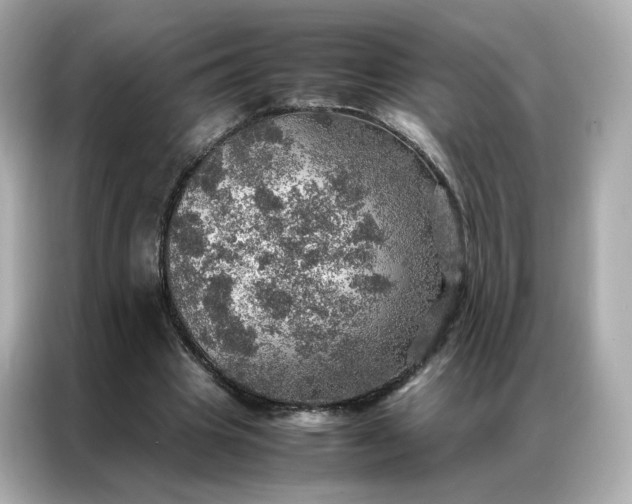 X0000086940441200704301140