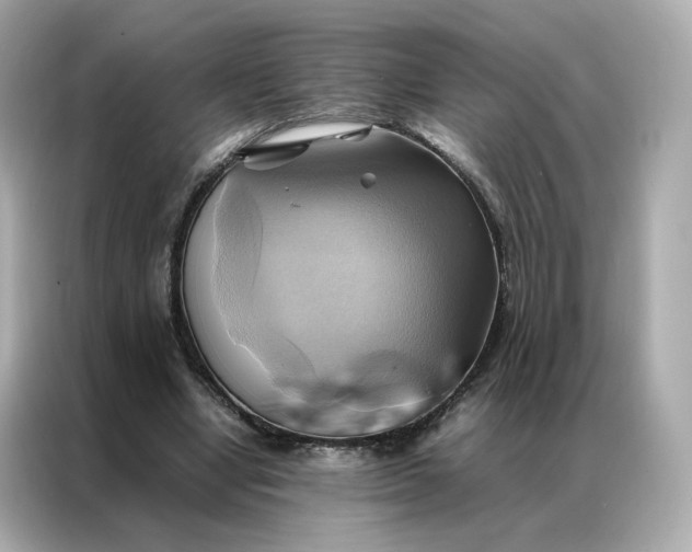 X0000086940442200704301140