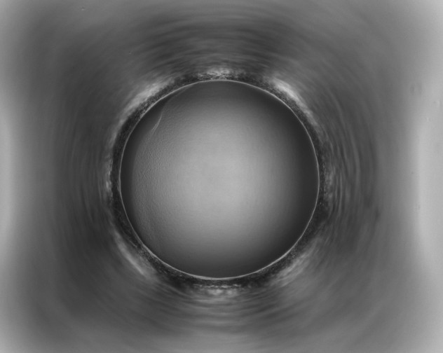 X0000086940443200704301140