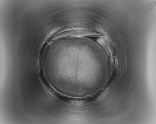 X0000086940444200704301140