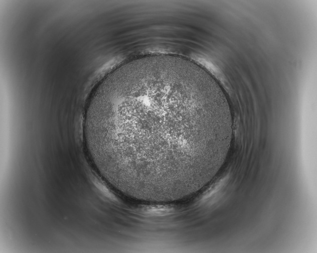 X0000086940445200704301140