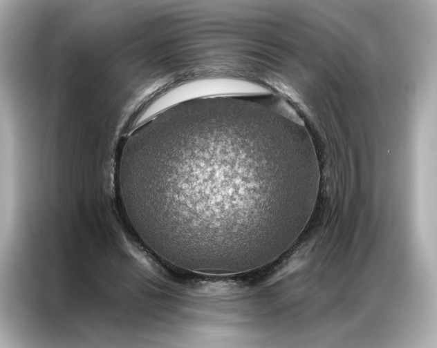 X0000086940446200704301140