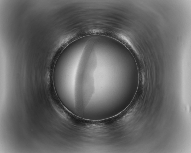 X0000086940447200704301140