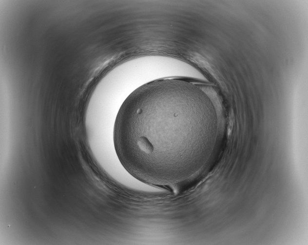 X0000086940448200704301140