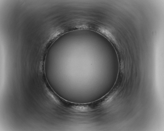 X0000086940449200704301140