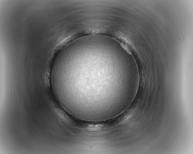 X0000086940450200704301140