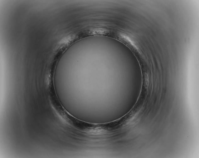 X0000086940451200704301140