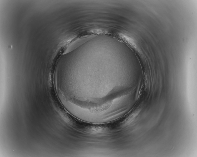 X0000086940453200704301140