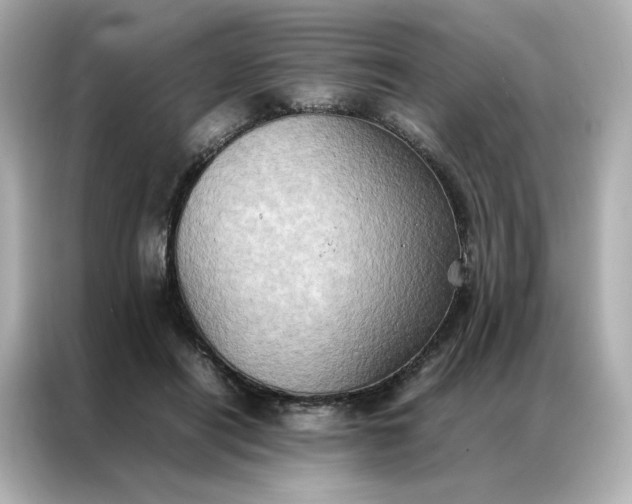 X0000086940454200704301140