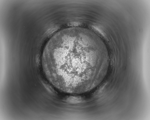 X0000086940455200704301140