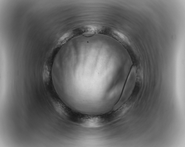 X0000086940456200704301140