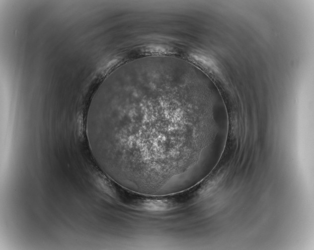 X0000086940457200704301140