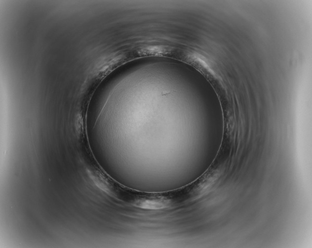 X0000086940459200704301140