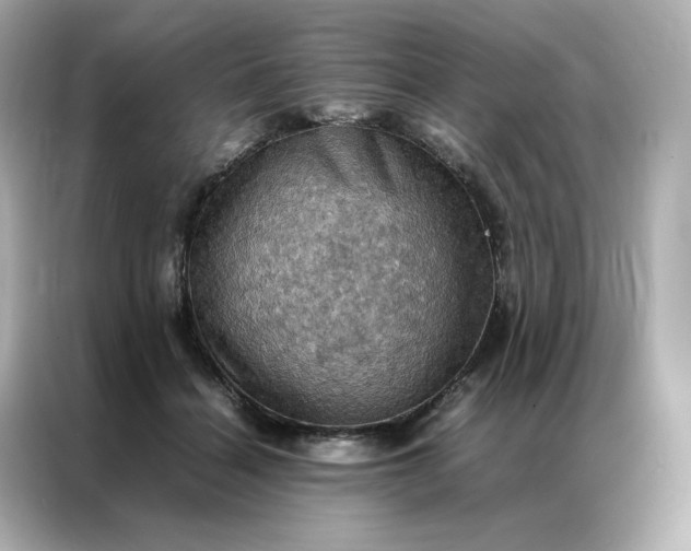 X0000086940460200704301140