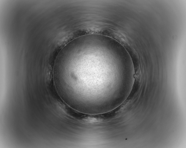 X0000086940464200704301140