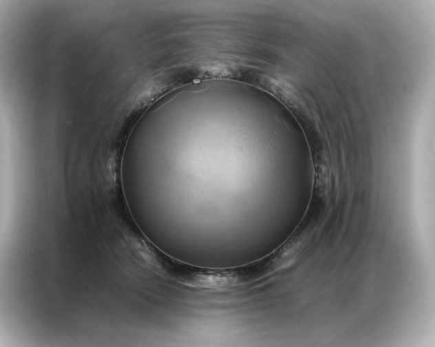 X0000086940466200704301140