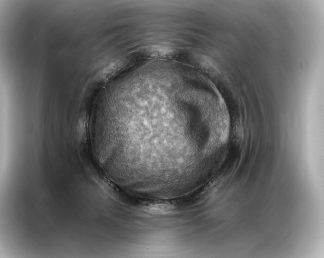 X0000086940468200704301141