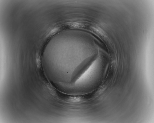 X0000086940469200704301141