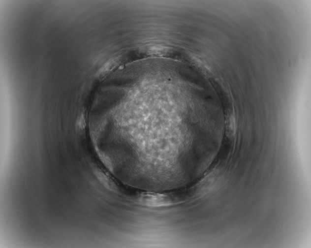 X0000086940472200704301141