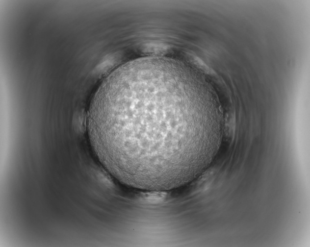 X0000086940474200704301141