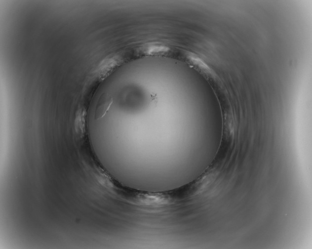 X0000086940475200704301141