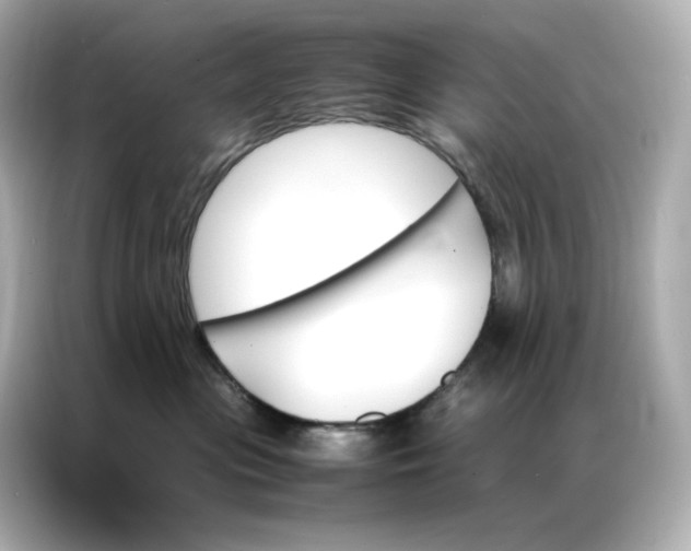 X0000086940477200704301141