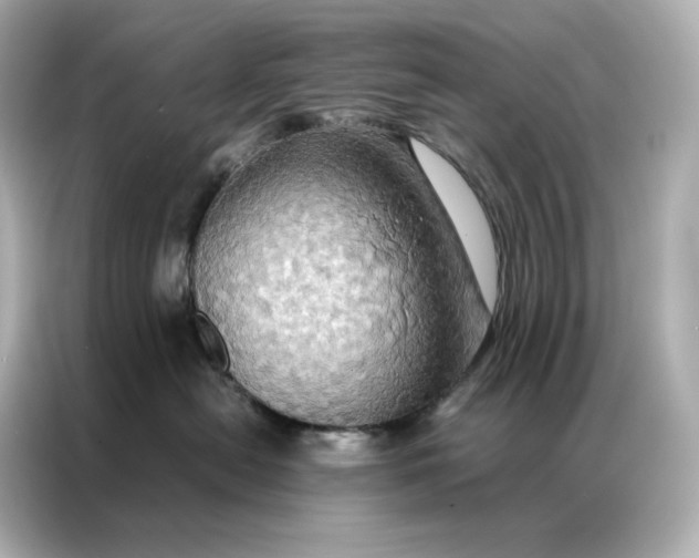 X0000086940478200704301141