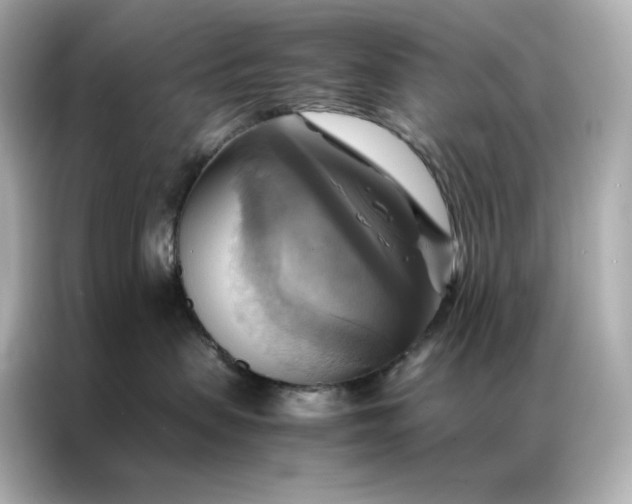 X0000086940479200704301141