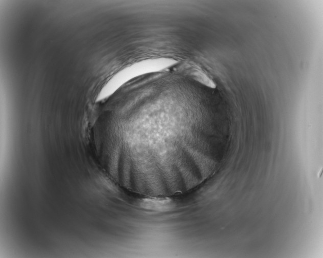 X0000086940480200704301141